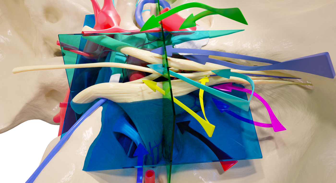 3D Rendering of the Cavernous Sinus and Its Entry Corridors