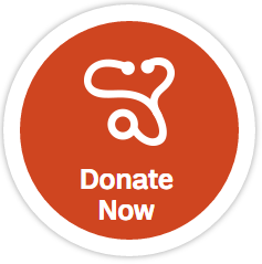 Donate Now Icon